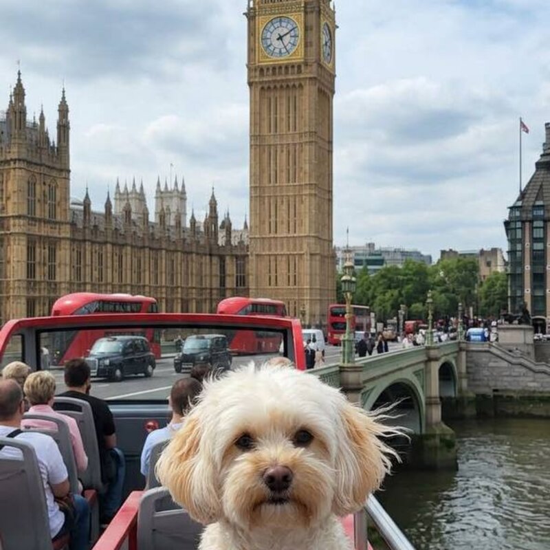 Гринч в Лондоне у Биг-Бена